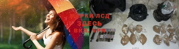 гашик Зеленодольск